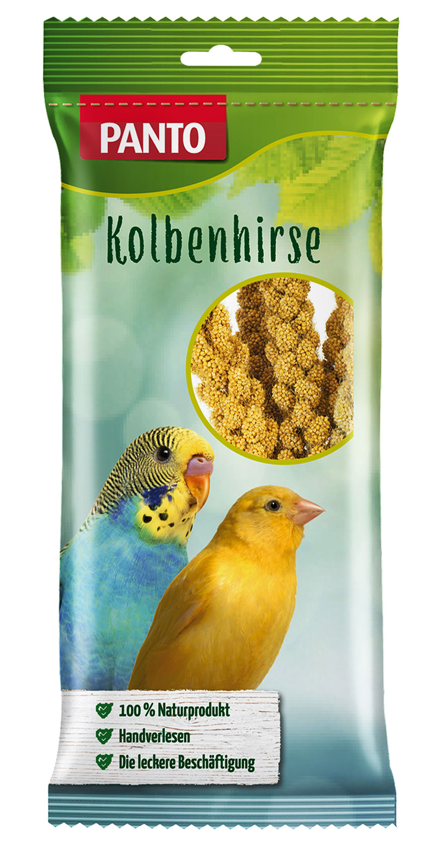 Kolbenhirse